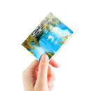 Ultra PRO x Bob Ross: Apex Deck Protector Sleeves - Lakeside Path