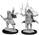 Wizkids Pathfinder Deep Cuts Male Elf Sorcerer Miniature