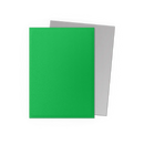 Dragon Shield: Standard Size Matte Dual Sleeves - Apple Green & Silver (100pcs)