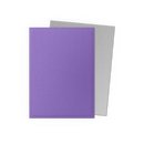Dragon Shield: Standard Size Matte Dual Sleeves - Nebula & Silver (100pcs)