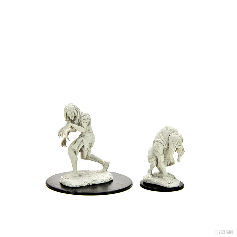 Wizkids Pathfinder Deep Cuts Annis Hag and Green Hag Miniatures