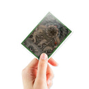 Ultra PRO x MTG: Apex Deck Protector Sleeves - Season of Weaving