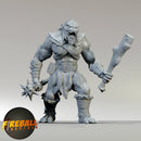 Fireball Figurines: NPC Medium Miniatures