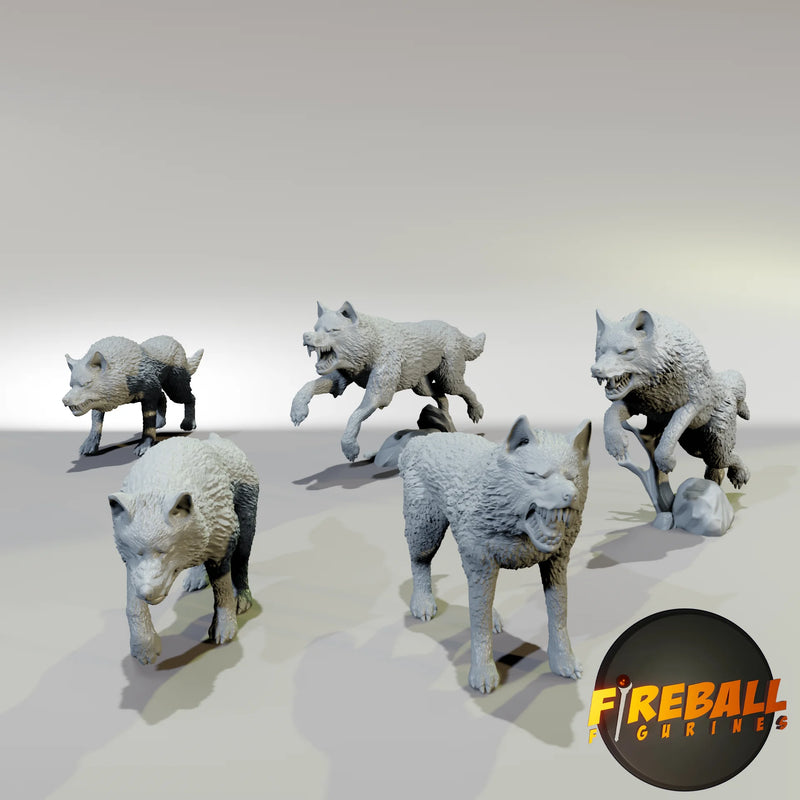 Fireball Figurines: NPC 5-pack Miniatures