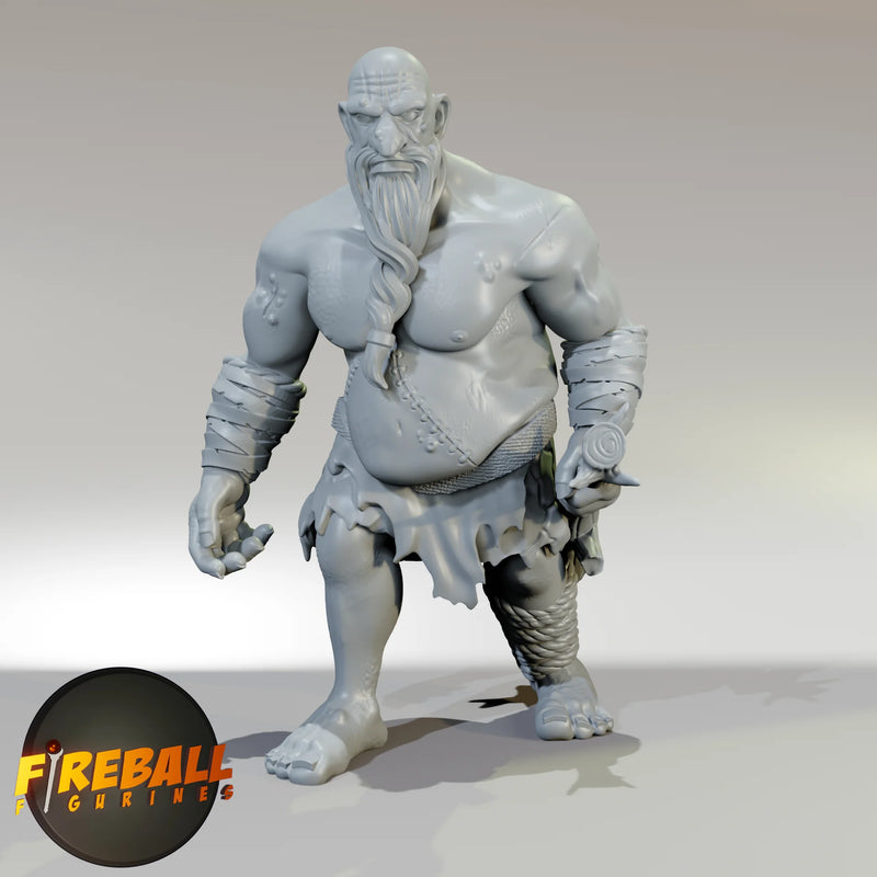 Fireball Figurines: NPC Large Miniatures