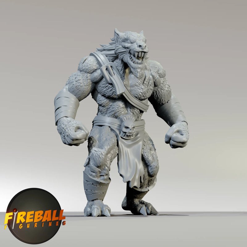 Fireball Figurines: NPC Medium Miniatures