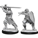 D&D: Nolzur's Marvelous Miniatures: Human Paladin Male